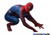 Raimi Spider Tobey Spider Spandex Cosplay Costume - SP101 | UncleHulk