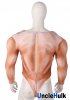 Half Body Medium Silk Floss Muscle Costume Shape Zentai Suit Halloween Suit - with printed muscle pattern | UncleHulk